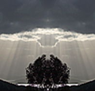 aart. Gallery of Fine Art - VIC Tourism