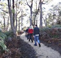 Bridport Walking Track - VIC Tourism
