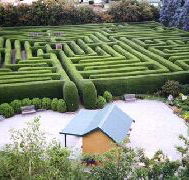 Westbury Maze and Tea Room - VIC Tourism