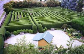 Westbury Maze And Tea Room - VIC Tourism 0