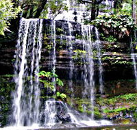 Mt Field National Park - VIC Tourism