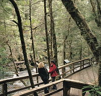Franklin River Nature Trail - VIC Tourism