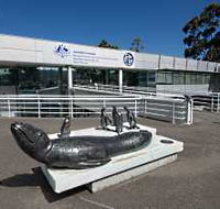 Australia's Antarctic Headquarters - VIC Tourism