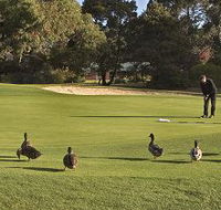 Royal Hobart Golf Club - VIC Tourism