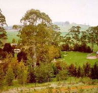 The Tasmanian Arboretum - VIC Tourism