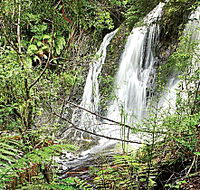 Hogarth Falls - VIC Tourism