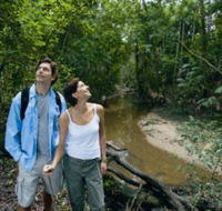 Mooloolah River National Park Jowarra Section - VIC Tourism