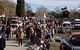 Evandale Market - thumb 0