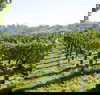Surveyor's Hill Vineyards - VIC Tourism
