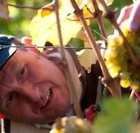 Puddleduck Vineyard - VIC Tourism