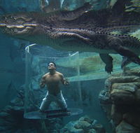 Crocosaurus Cove - VIC Tourism