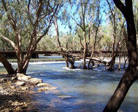 Low Level Nature Reserve - VIC Tourism 0