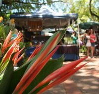 Nightcliff Markets - VIC Tourism