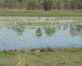 Leaning Tree Lagoon Nature Park - VIC Tourism 0