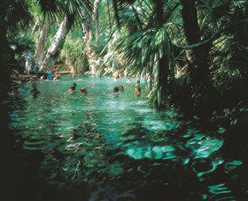Mataranka Thermal Pool - VIC Tourism 0