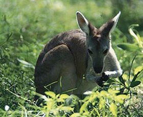  VIC Tourism