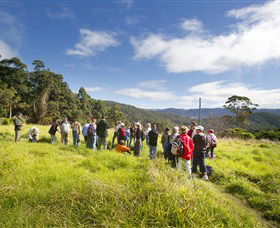Springbrook QLD VIC Tourism