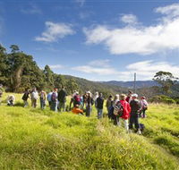 Apple Tree Park - VIC Tourism