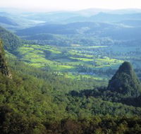 Springbrook Plateau Springbrook National Park - VIC Tourism