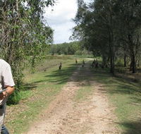 Coombabah Lakes Conservation Area - VIC Tourism