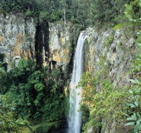 Gondwana Rainforests of Australia - VIC Tourism
