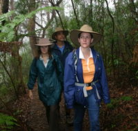 Mount Cougal Springbrook National Park - VIC Tourism