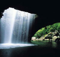 Natural Bridge Springbrook National Park - VIC Tourism