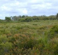Pine Ridge Conservation Park - VIC Tourism