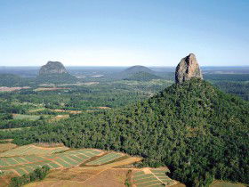 Mt Tibrogargan - VIC Tourism 0