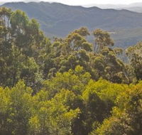 Conondale National Park - VIC Tourism