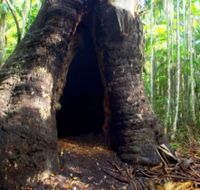 Tewantin National Park - VIC Tourism