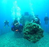Ex-HMAS Brisbane Conservation Park - VIC Tourism