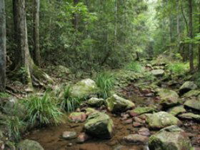 Amamoor QLD VIC Tourism