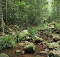 Amamoor State Forest - VIC Tourism