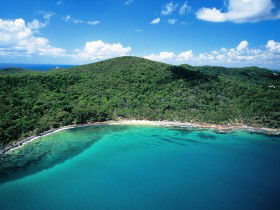 Noosa Heads Coastal Track - VIC Tourism 0
