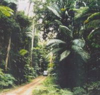 Conondale Great Walk - VIC Tourism