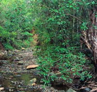 Mudlo National Park - VIC Tourism