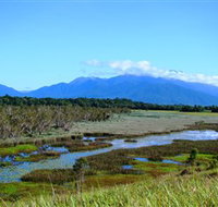 Eubenangee Swamp National Park - VIC Tourism