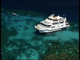 Fish Bowl Dive Site - VIC Tourism 0