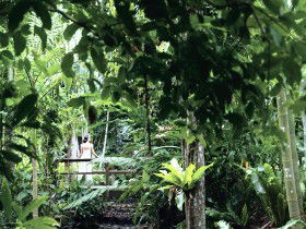 Flecker Botanic Gardens - VIC Tourism 0
