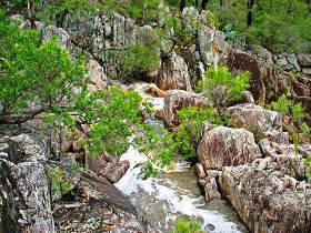  VIC Tourism