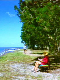 Woodgate QLD VIC Tourism