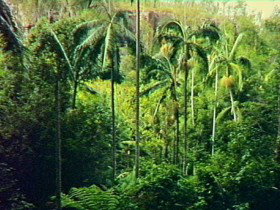 Kapaldo QLD VIC Tourism