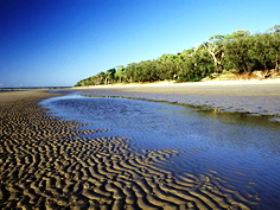 Burrum Coast National Park - VIC Tourism 0