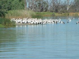  VIC Tourism
