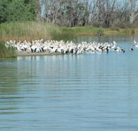 Lake Ross - VIC Tourism