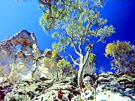 Mitchell QLD VIC Tourism