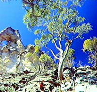 Mount Moffatt Section - Carnarvon National Park - VIC Tourism