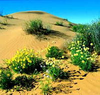 Simpson Desert National Park - VIC Tourism