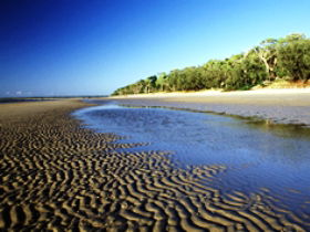 Kinkuna Section - VIC Tourism 0
